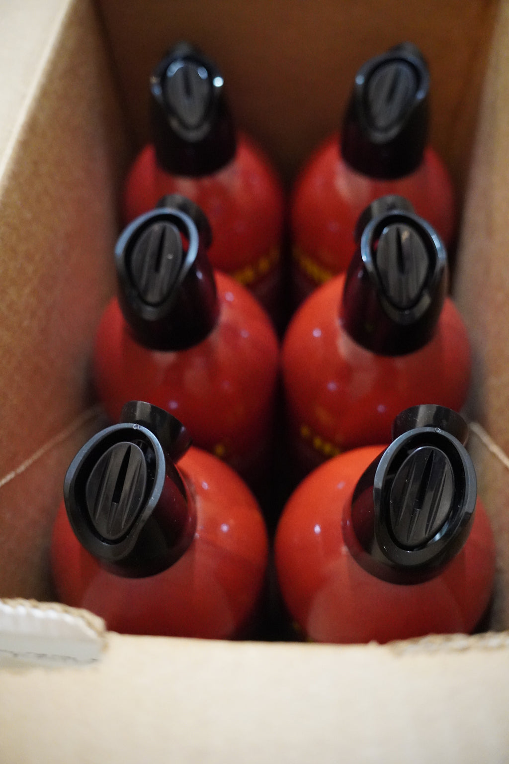 Firebull: Fire extinguisher